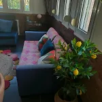 Color Living - Loft & Yard * Kardítsa
