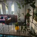 Color Living - Loft & Yard *