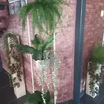 Color Living - Loft & Yard Lägenhet Kardítsa