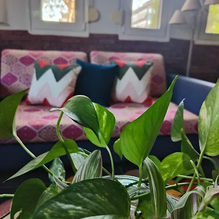 Color Living - Loft & Yard Appartement