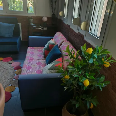 Color Living - Loft & Yard * 카르디차