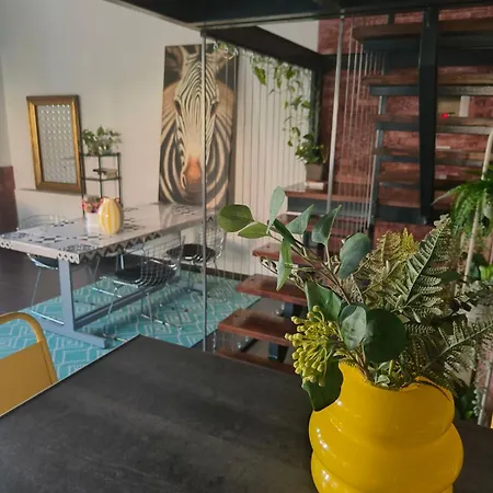 Appartement Color Living - Loft & Yard Kardítsa