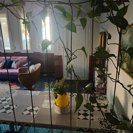 Color Living - Loft & Yard *