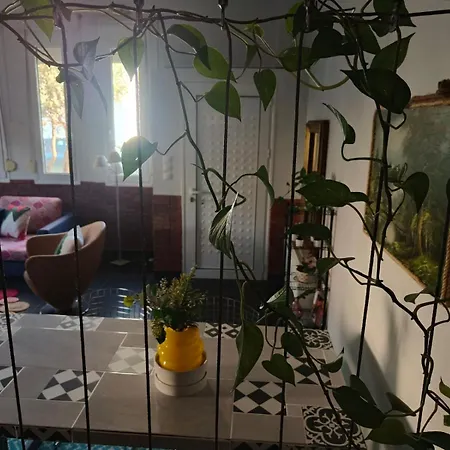 Color Living - Loft & Yard * 카르디차