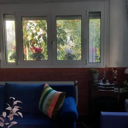 Color Living - Loft & Yard *